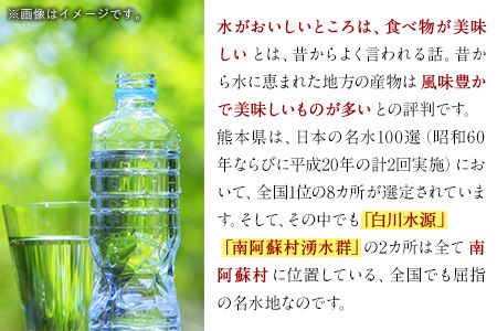 本格米焼酎 原酒 南阿蘇 1本720ml《60日以内に出荷予定(土日祝除く)》熊本県 南阿蘇村 SOCKET 焼酎 山田錦 酒---sms_socketsak_60d_r7_11000_720ml---