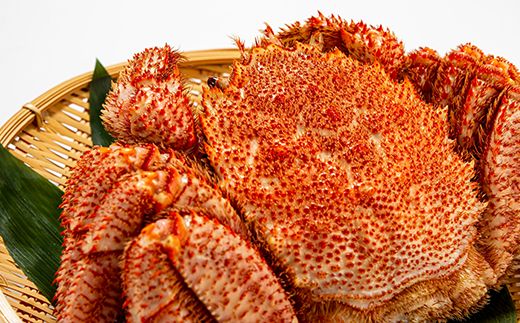 大サイズ！冷凍毛がに約650g×3尾【斉藤水産】 AM145