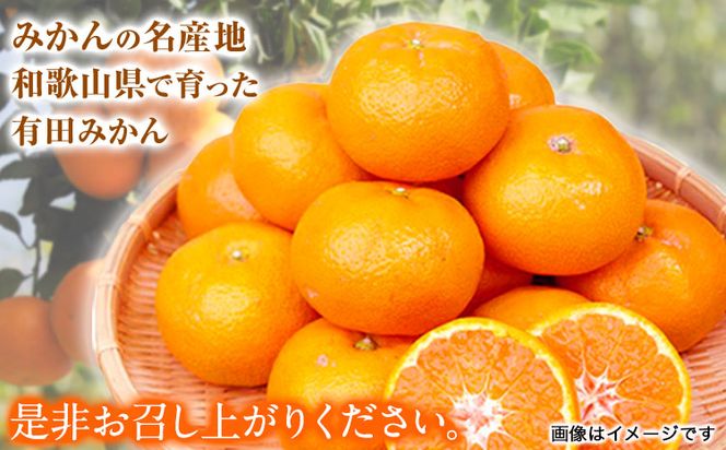 【先行予約】【ご家庭用訳あり】紀州有田産 濃厚完熟温州みかん 約7.5kg 株式会社魚鶴商店《2026年11月下旬-2027年1月下旬頃出荷》 和歌山県 日高町 みかん 温州みかん 完熟 濃厚 柑橘 ご家庭用---wsh_uot218_11g1g_25_15000_7500g---