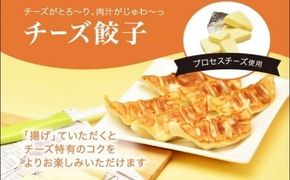 「宇都宮餃子館」チーズ餃子 960ｇ（４８個）≪ギョーザ 冷凍餃子 冷凍食品 グルメ 食品 惣菜 中華惣菜 点心 中華≫◇