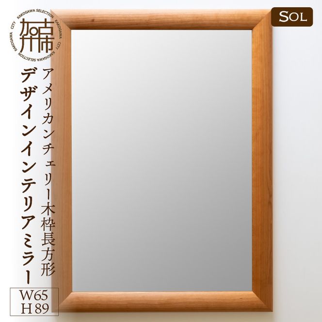 yɌÐszySENNOKIzSOL\ AJ`F[ W650×D30×H890mm(9kg)ؘg`fUCCeA~[y2416M05074z