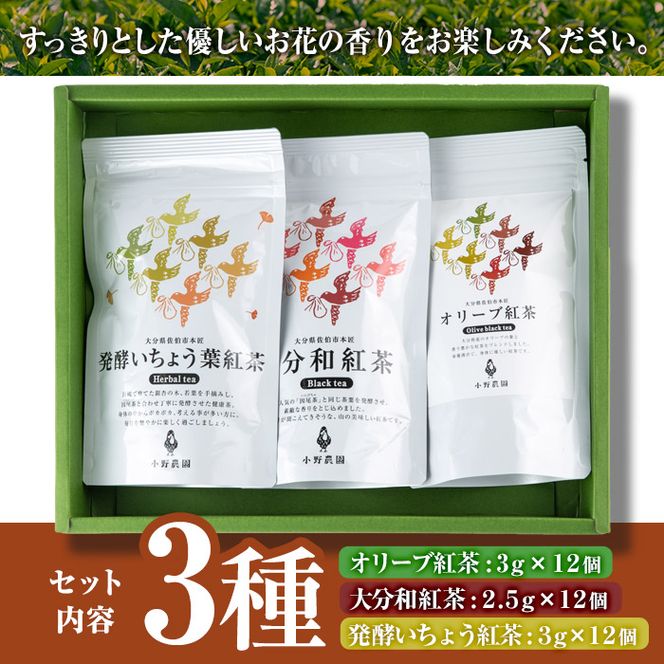 紅茶 ティーバッグ 3種セット (オリーブ紅茶、和紅茶、いちょう葉紅茶・各12個) お茶 紅茶 茶 茶葉 セット 詰め合わせ 大分県 佐伯市【ES04】【小野農園】