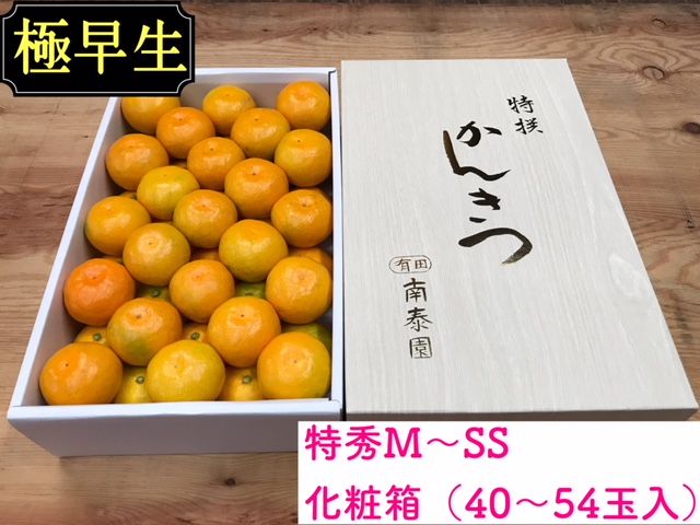 頒布会 有田かんきつ 定期便 7ヶ月間 南泰園 みかん  BS802
