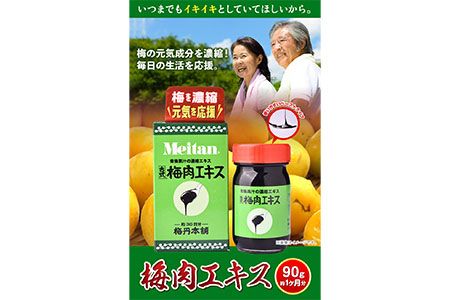 梅肉エキス90g 株式会社梅丹本舗《90日以内に順次出荷(土日祝除く