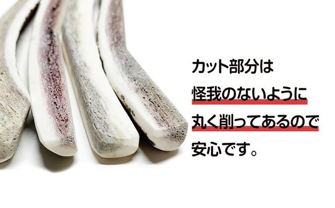 鹿の角 エゾシカ 犬のおもちゃ 『鹿角さん』 小型犬用　四つ割りロング　2本セット CB028