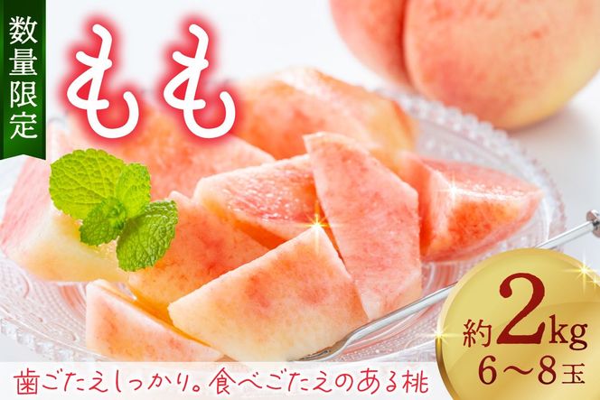 【先行予約／数量限定】京都丹後産 桃 約2kg（6～8玉）（2026年7月中旬～発送）歯ごたえのある かための桃 ふるさと 納税 桃 2kg ふるさと 納税 もも モモ 　AM00712