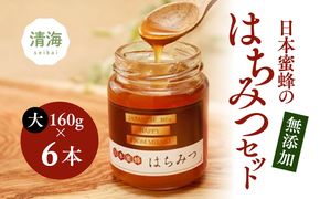 佐田岬産 日本蜜蜂はちみつ（大）6本入 ｜ ハチミツ 蜂蜜 パン 非加熱 無添加 愛媛