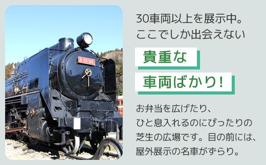 ＜JR色＞Nゲージダイキャストスケールモデル 特急あさま 　ANAE008