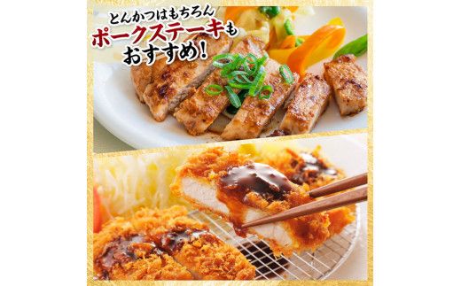 宮崎県産豚肉　ロースとんかつ用（100g以上×30枚） 【 豚肉 豚 肉 宮崎県産 ロースカツ 送料無料 】[C11620