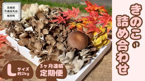 【3ヶ月定期便】きのこ の 詰め合わせ Lサイズ( 約2kg ) （茨城県共通返礼品：城里町） キノコ セット 野菜 低カロリー ダイエット デトックス バラエティ セット 新鮮 [DY007us]