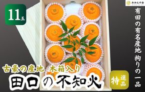 不知火 古豪の産地 田口の不知火 11玉木箱入 特選品 産地直送 贈答用 数量限定［みかんの会］ AX147