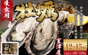 【国産】殻付き牡蠣旅する牡蠣プレミアムオイスター室戸海洋深層水 室津12～15個入り　ak004