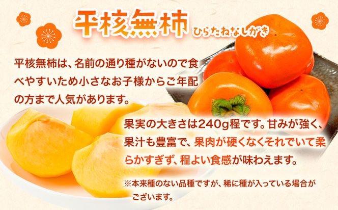 【先行予約】紀州かつらぎ山の食べやすい干し柿 化粧箱入 25g×10個 株式会社魚鶴商店《2026年1月中旬-1月末頃出荷予定》 和歌山県 日高町 平核無柿 ひらたねなし柿 かき カキ---wsh_utskkhk_j1_23_13000_10p---