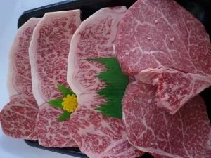 ＜ひら山＞厳選　京都府産黒毛和牛（亀岡牛・京の肉・京都肉・丹波産）　和牛ヒレステーキ・サーロインステーキセット (ヒレ１００gx２枚、サーロイン２００gx３枚）