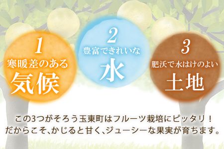 上田果樹園の元祖！玉東梨(旬の品種をお届けします)約5kg(8玉-16玉)熊本県玉名郡玉東町 なし 果物 スイーツ デザート 《7月下旬-9月下旬頃出荷》---sg_cuednasi_p79_r8_14500_5kg---
