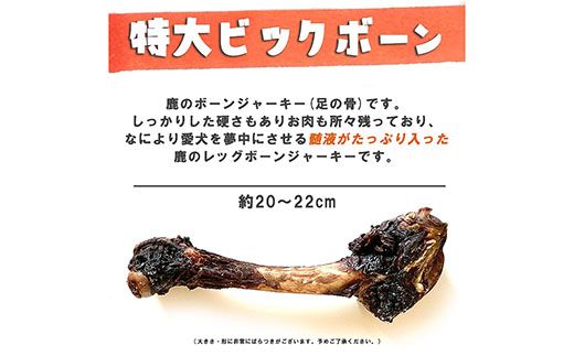 無添加 大型犬用 おやつ 鹿骨ビッグボーン 大 （大腿骨） 鹿骨ジャーキー 鹿 ジャーキー ペット ドッグフード / 山梨県 富士河口湖町 FBK019