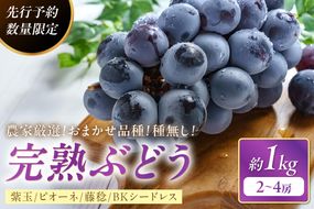 【先行予約／数量限定100】甘～ぃ！ジューシー！京丹後産　農家厳選！種無し！完熟ぶどう (紫玉・ピオーネ・藤稔・BKシードレス） 1kg（2～4房）（2025年8月中旬～発送）　YK00158