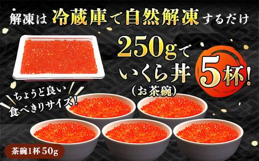 121-1920-197 【定期便】ご飯のおともセット 3ヶ月 連続お届け | 北海道 冷凍 国産 人気の 訳あり！ いくら いくら醤油漬け イクラ ikura 鮭卵 鮭いくら 鮭フレーク 焼鮭の 手ほぐし 塩辛セット 塩辛 烏賊 いか イカ セット 北海道 昆布のまち 釧路町 ご飯 米 無洗米 との相性抜群 冷凍 漬魚 小分け 明太子 たらこ バター 釧之助本店 ご飯がすすむ定期便です。