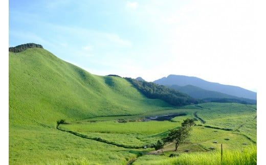 【令和7年産(特別栽培米)】曽爾村ブランド米(コシヒカリ)5kg(白米) /// 新米 予約 コシヒカリ 奈良 奈良県 ブランド米 有機 特別栽培米