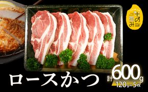 【A02011】米の恵み　ロースかつ　約120g×5枚