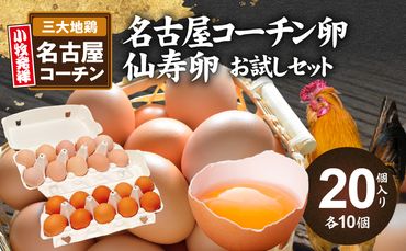 名古屋コーチン卵・仙寿卵お試しセット(各10個入り)[006K02]