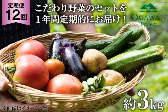 No.138 OGAWA'N　野菜セットの定期便（年12回）　＜JA埼玉中央＞【埼玉県小川町】