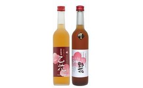 梅酒の飲み比べセット【Ｃ】