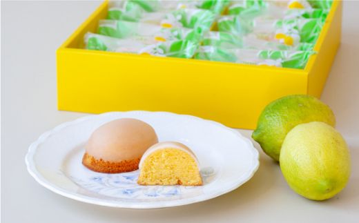 ガトーフリアン の 檸檬ケーキ 10個 / レモン ケーキ 南島原市 / ながいけ [SCH005]