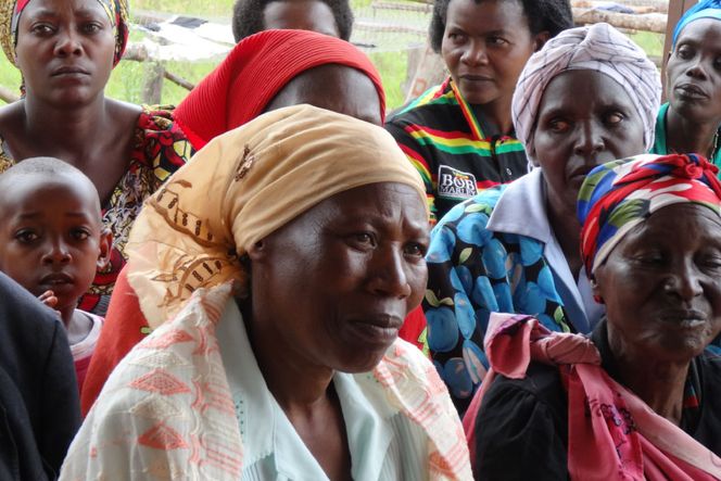 コーヒー 豆 プレミアムアイスコーヒー 500g×2袋 計1kg [ゴールド珈琲 大阪府 守口市] [2261]