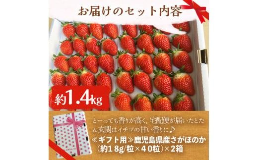 ＜先行予約受付中！2026年1月中旬以降順次発送予定＞鹿児島県産いちご(さがほのか「秀大」・計約1.4kg・40粒×2箱) 鹿児島 阿久根 果物 フルーツ イチゴ いちご 苺 さがほのか デザート おやつ 期間限定【鹿児島いずみ農業協同組合】akn018-21