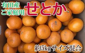 (訳あり・ご家庭用)一度は食べていただきたい「有田産のせとか」約5kg★2025年２月中旬頃より順次発送     BZ113