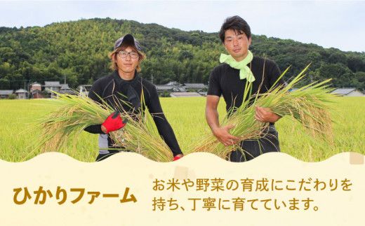 【全5回定期便】【令和6年産予約受付】 ひかりファーム の 夢つくし 3kg【2024年10月以降順次発送】《築上町》【ひかりファーム】 [ABAV016]