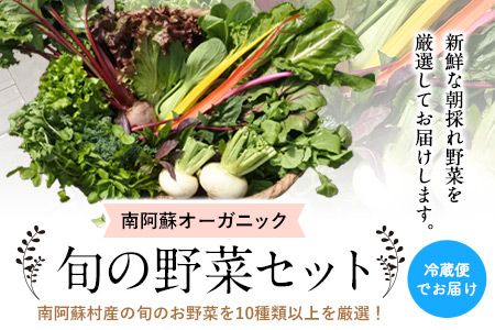 南阿蘇オーガニック 旬の野菜セット10種類以上詰め合わせ[30日以内に出荷予定(土日祝除く)]熊本県 南阿蘇村 野菜 カブ ビーツ サニーレタス クレソン ブロッコリー 水前寺菜 ほうれん草2種 チンゲン菜 春菊 スイスチャード---sms_cmoyasai_30d_r7_15000_10i---