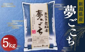 A4198 【令和6年産米】新潟産 夢ごこち 5kg