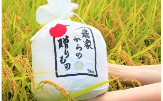 【全5回定期便】【令和7年産新米】【先行予約】ひかりファーム の ミルキークイーン 3kg【2025年10月以降順次発送】《築上町》【ひかりファーム】 [ABAV015]