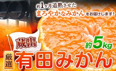 ＜先行予約＞厳選　蔵出 みかん 5kg +150g（傷み補償分）【有田の蔵出しみかん】【光センサー選果】池田鹿蔵農園@日高町(池田農園株式会社)《1月中旬-3月中旬頃より順次出荷》和歌山県 日高町 蜜柑 柑橘 みかん ミカン 果物 フルーツ 【配送不可地域あり】---wsh_ikd34_q13_23_14000_5kg---