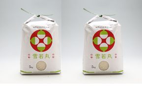 渡會さんのうまい米！雪若丸 10kg 5kg×2袋 令和7年産 2025年産 ブランド米 コシヒカリの原点、亀の尾発祥の地 庄内【1030-024I】