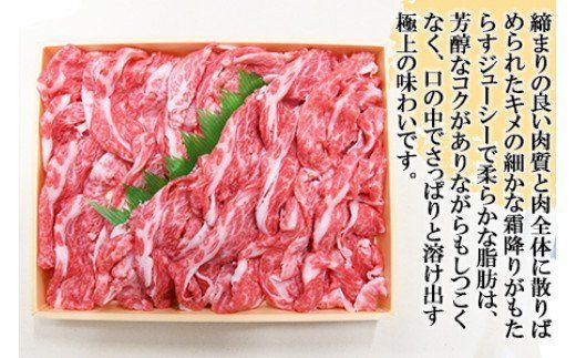 ＜宮崎牛バラスライス約600g＞翌月末迄に順次出荷【a0144_sb】