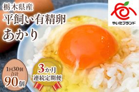 [平飼い有精卵30個×3か月連続定期便] ガツンとインパクトのある濃厚な黄身【平飼い有精卵あかり】｜矢板市産 こだわり卵 たまご 玉子 生卵 鶏卵 [0433]