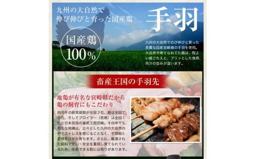 【宮崎空港で大人気!】TV某番組で餃子日本一獲得!＜馬渡の手羽餃子18本＞翌月末迄に順次出荷【c002_mw_x3】 餃子の馬渡 手羽先餃子 国産100％ 宮崎餃子 特産品