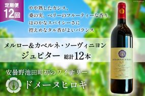 12回 定期便 ワイン メルロー＆カベルネ・ソーヴィニョン ジュピター 750ml×1本 計12本 [ヴィニョブル安曇野(ドメーヌ・ヒロキ) 長野県 池田町 48110604] 赤ワイン 赤 酒 お酒 果実酒 フルーティ