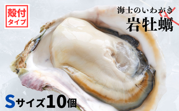 【のし付き】海士のいわがき 新鮮クリーミーな高級岩牡蠣 殻付きSサイズ×１０個