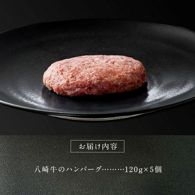 八崎牛のハンバーグ 120g×5個 N0105-ZA4408