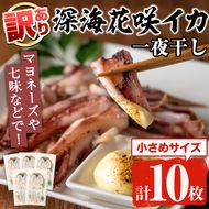 ＜訳あり＞数量限定！深海花咲イカ(計10枚) 国産 いか 一夜干し 干物 ひもの 魚介 加工品 おつまみ おかず 訳あり【福美丸水産】a-14-46-z