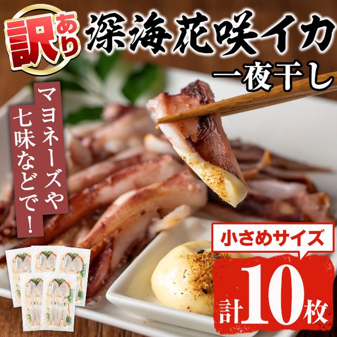 ＜訳あり＞数量限定！深海花咲イカ(計10枚) 国産 いか 一夜干し 干物 ひもの 魚介 加工品 おつまみ おかず 訳あり【福美丸水産】a-14-46