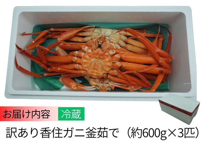 【訳あり 香住ガニ 釜茹で 大きめ 約600g×3匹（約1.8kg以上）冷蔵】9月中旬以降順次発送予定 カニの本場 香住 ベニズワイガニ 香美町 かに ゆで蟹 ボイル 20000円 07-14