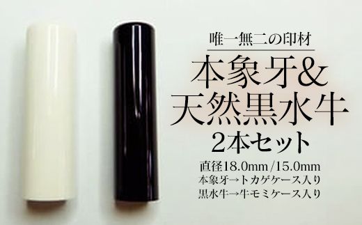 高級本象牙印鑑＆天然黒水牛印鑑 2本Ａセット（男性向け） はんこ