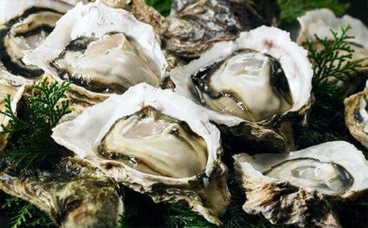 【のし付き】絶品海鮮炊き込みご飯 海士のいわがきの炊き込みご飯の素