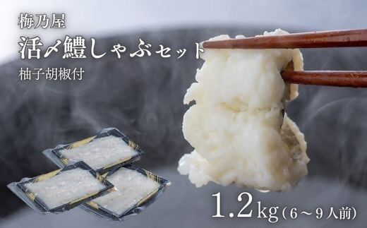 I-14 活〆鱧しゃぶしゃぶセット 1200g（6～9人前）