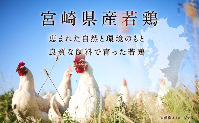 【2025年1月発送】＜宮崎県産若鶏3種 計6kgセット＞【c504_hn_x3-jan】